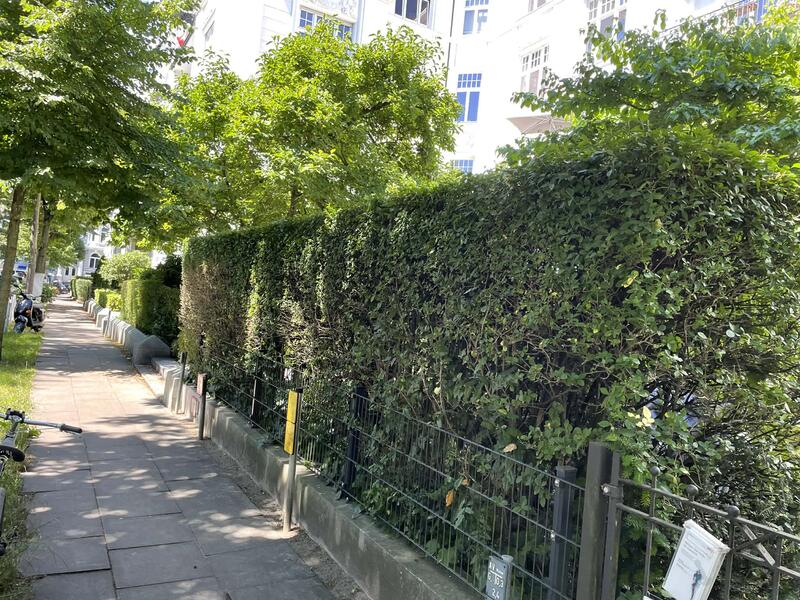 Heckenpflanzung Hamburg
