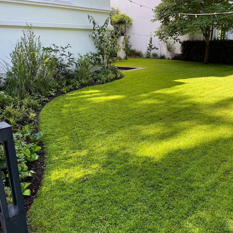 Rollrasen frisch verlegt Hamburg